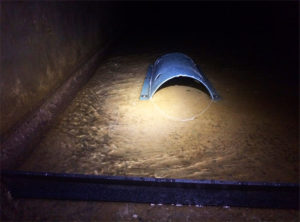 tunnel house for website