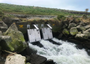 Fish Friendly Tide Gate, Tide Gate, Fish Passage, Fish Barrier, Fish Migration