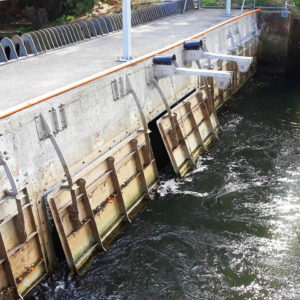 Fish Friendly Tide Gate, Tide Gate, Fish Passage, Fish Barrier, Fish Migration