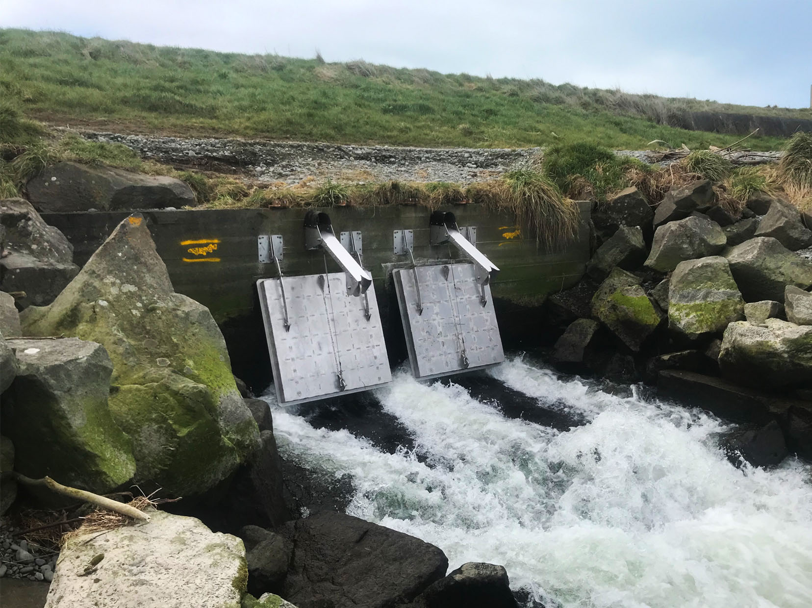 ATS_ENVIRONMENTAL_WHAKATANE6