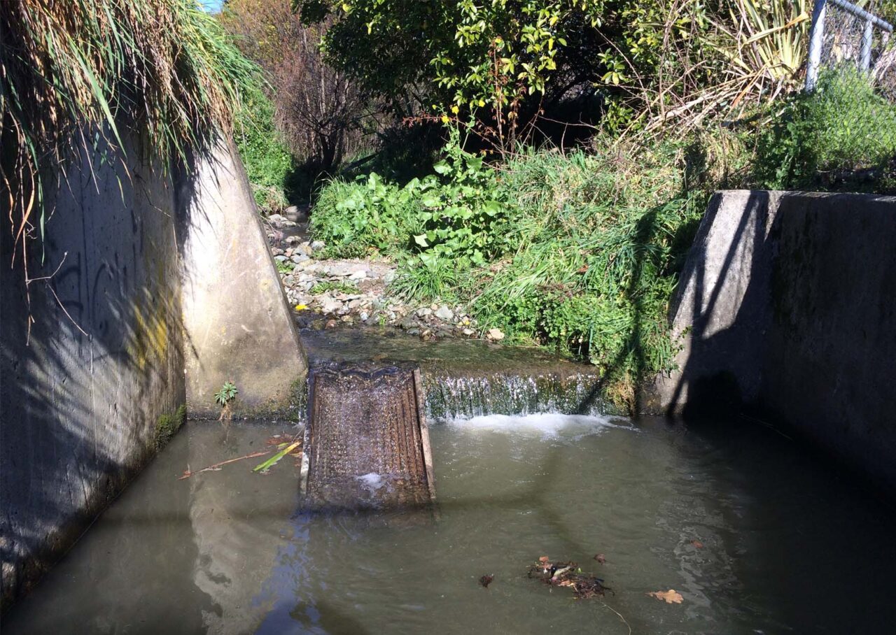 FLOATING RAMP | ATS ENVIRONMENTAL | NEW ZEALAND