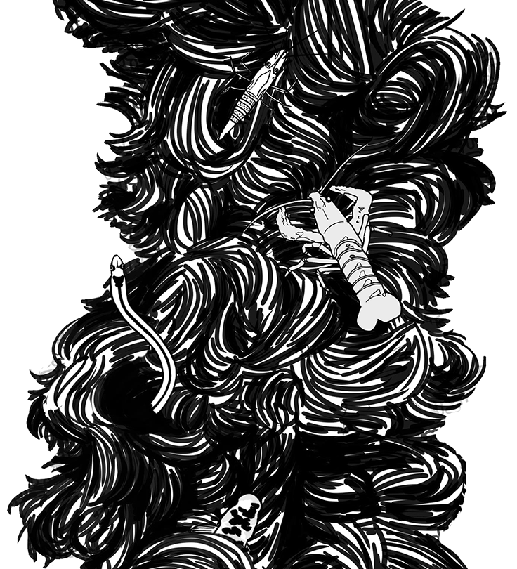 MUSSEL_ROPE_ATS_ENVIRONMENTAL_CROPPED