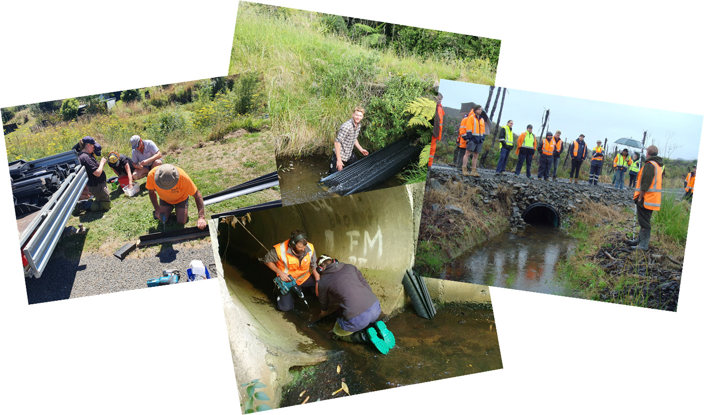 ATS_ENVIRONMENTAL_NEW_ZEALAND