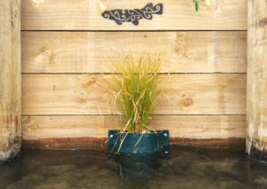 Planter-Pod