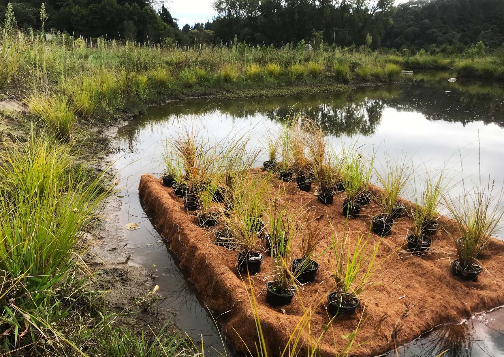 Floating Wetland/Nursery • ATS Environmental